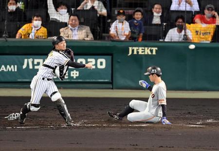 　４回、適時二塁打を放った巨人・坂本が三塁を狙い、阪神・坂本が封殺する（撮影・山口登）