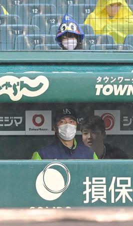 　ベンチからグラウンドを見つめる高津監督（左）と村上（撮影・高部洋祐）