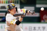 　６回、甲斐が一前にスクイズを決める＝ペイペイドーム