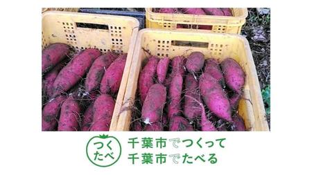 千葉市特産品サツマイモ（球団提供）