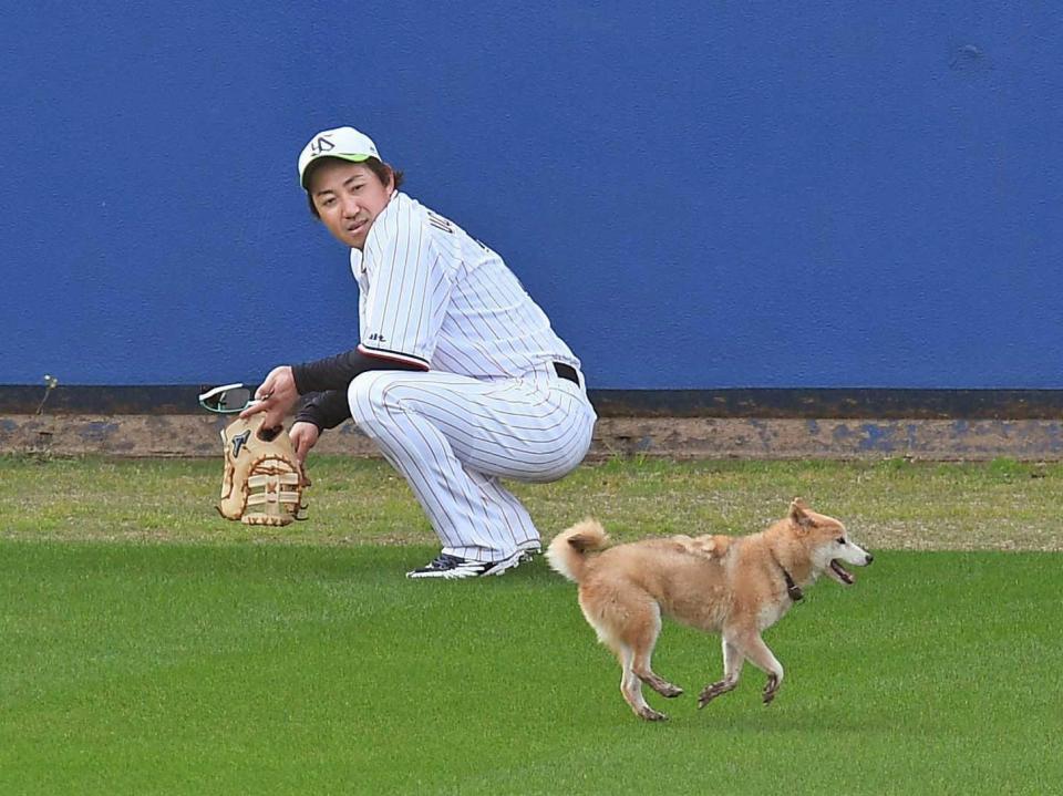 ヤクルト 内川にっこり 珍客訪問 だワン 結構 動物には好かれるタイプ 野球 デイリースポーツ Online