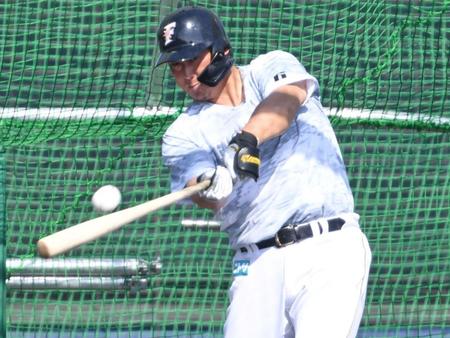 フリー打撃で豪快なスイングを見せる日本ハム・中田翔＝タピックスタジアム名護（撮影・棚橋慶太）