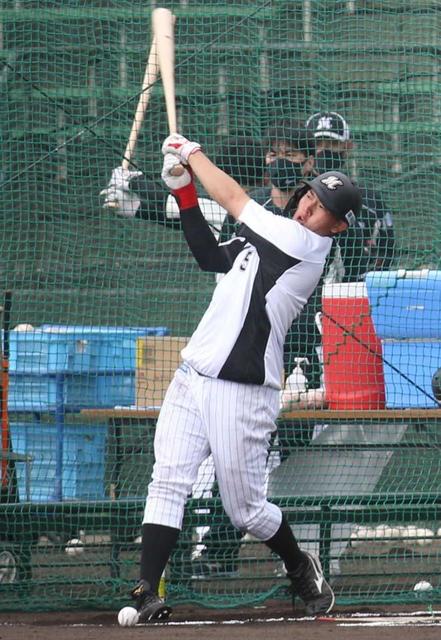 ロッテ 安田 圧巻の柵越え９６発 松中臨時コーチお墨付き ４番で全試合出場を ｎｐｂ 野球 デイリースポーツ Online