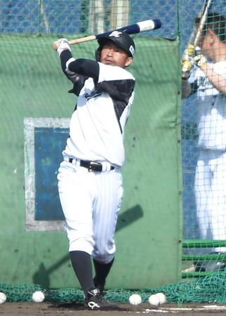 フリー打撃で快音を連発するロッテ・鳥谷敬＝石垣（撮影・開出牧）