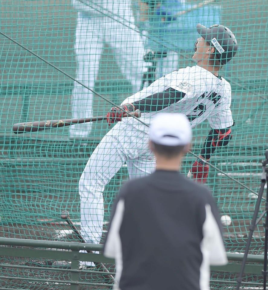 ロッテ 藤原 フリー打撃で２度死球 周囲ヒヤリ ｎｐｂ 野球 デイリースポーツ Online