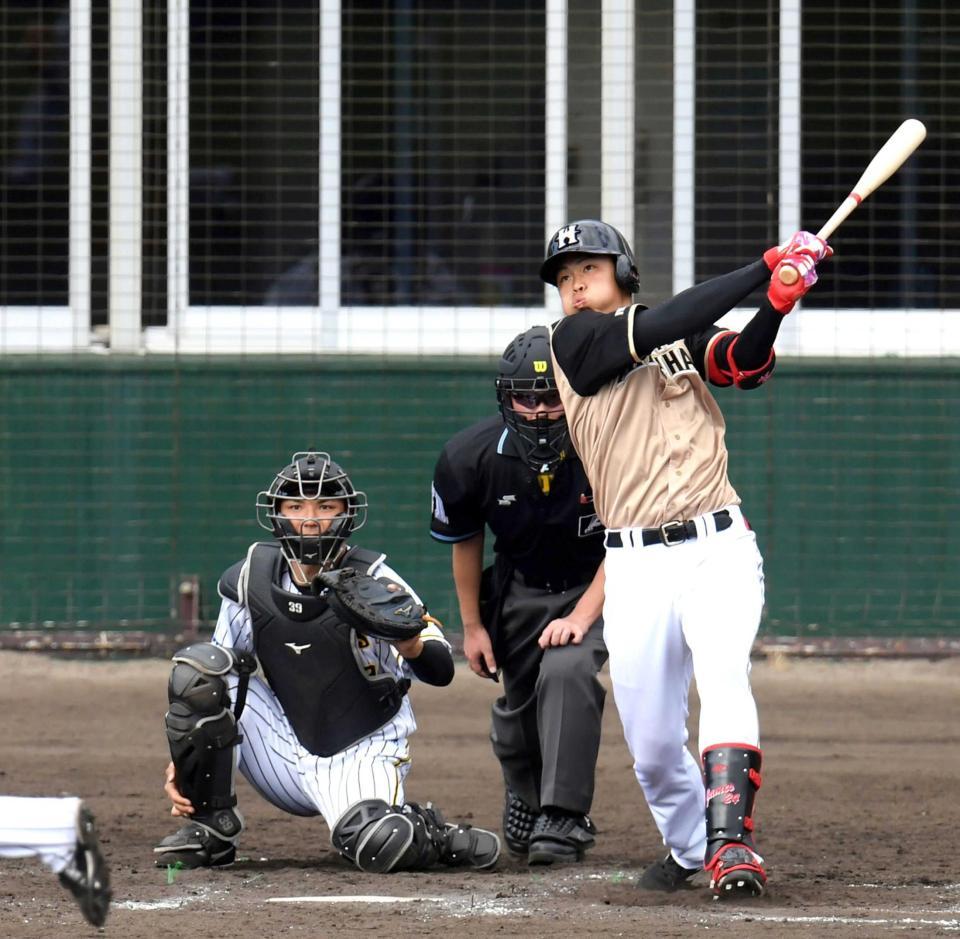 　５回、野村は右越え三塁打を放つ（撮影・山口登）