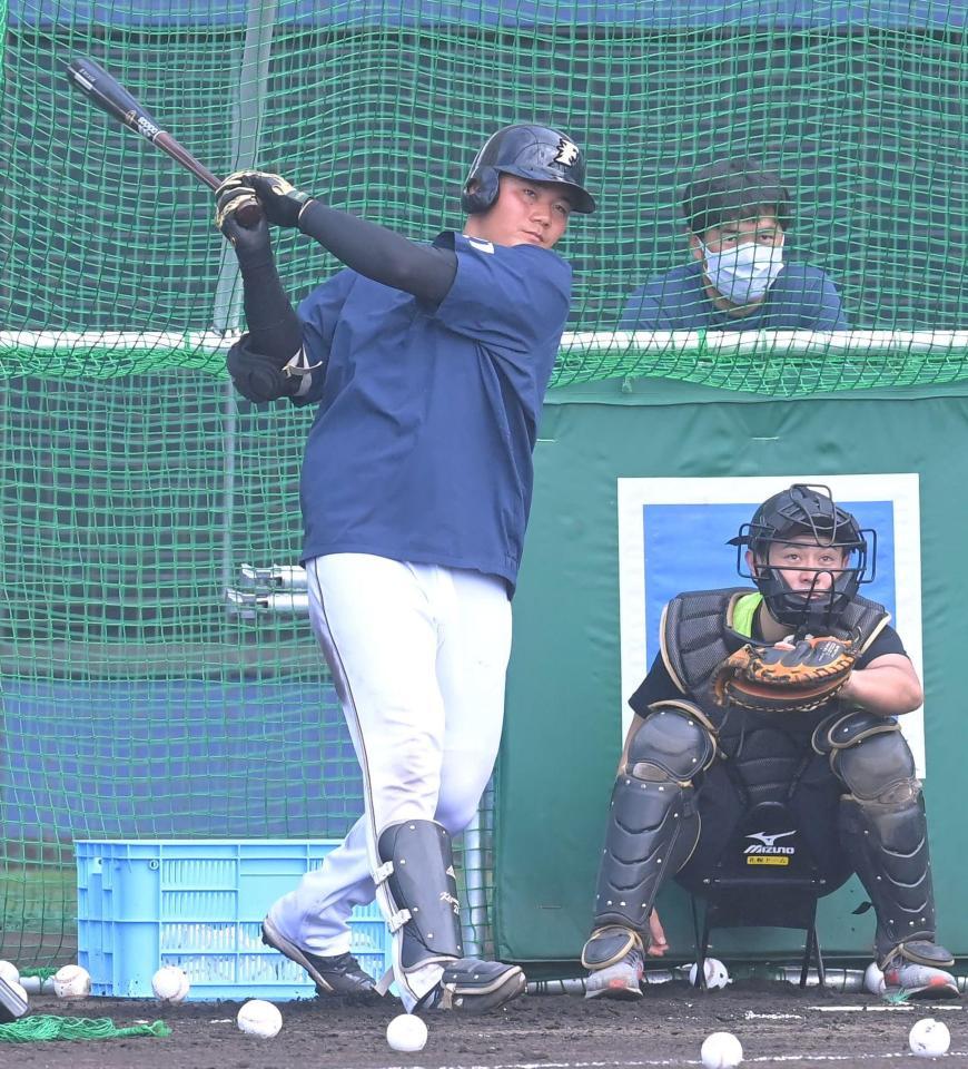 フリー打撃で快音を響かせる日本ハム・清宮幸太郎＝タピックスタジアム名護（撮影・高部洋祐）