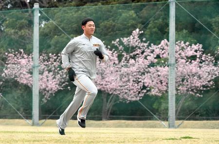 　満開の河津桜を背にランニングする平内（撮影・佐藤厚）