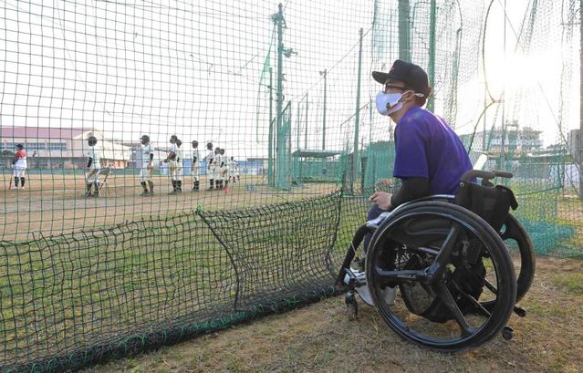 沖縄代表校の分析担当　車いすで踏みしめる甲子園　毎年阪神キャンプ訪れる野球好き