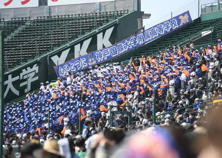 　１塁側アルプススタンドに詰めかけた神戸国際大付の応援団（撮影・伊藤笙子）