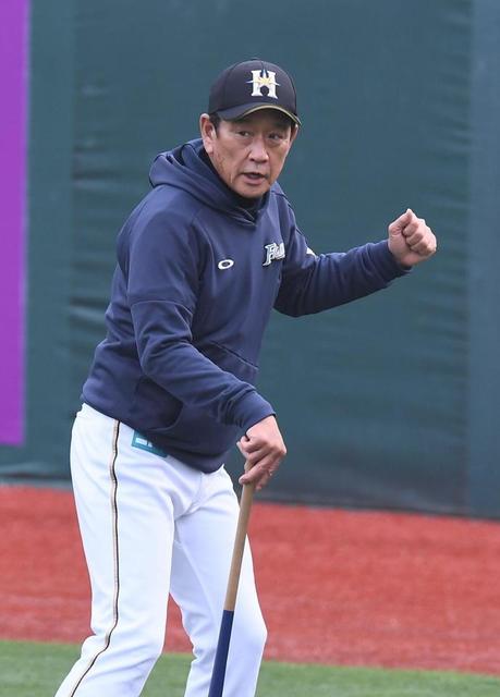 日本ハム 栗山監督 最下位予想覆す これでやらなきゃ男じゃねえよ 野球 デイリースポーツ Online