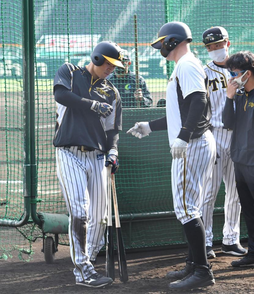 阪神・サンズ（右）からアドバイスを受ける佐藤輝＝甲子園（撮影・飯室逸平）