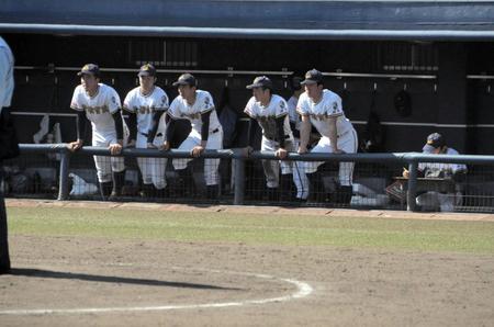 　左脇腹痛のため欠場し、ベンチからナインを鼓舞する前橋育英・皆川（右端）