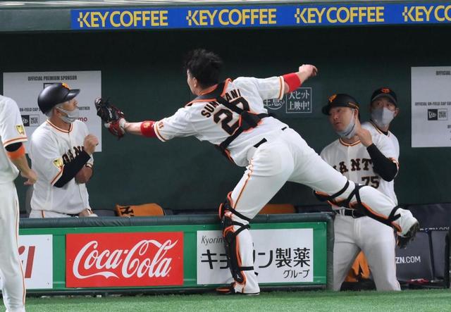 アウトが一転ファウル 飛球巡り判定訂正 野球 デイリースポーツ Online