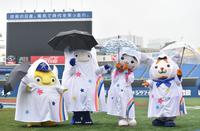 雨天中止になったグラウンドでかさをさすＤｅＮＡのマスコットたち＝横浜スタジアム（撮影・西岡正）