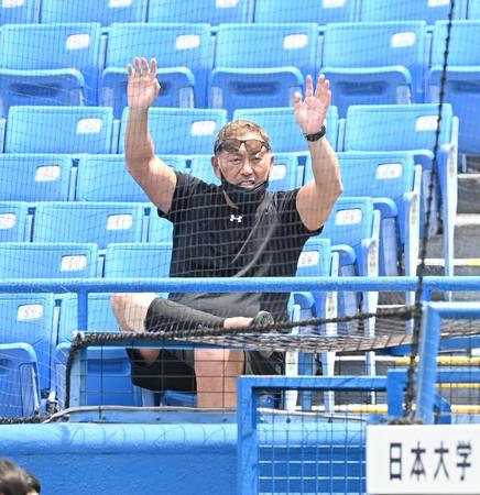 　ベンチの慶応・清原正吾に手を振る清原和博氏＝神宮球場（撮影・高石航平）