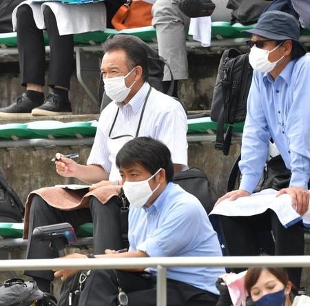 　大阪桐蔭対高知の試合を見つめる和田ＴＡ（中央）ら阪神スカウト陣（撮影・吉澤敬太）