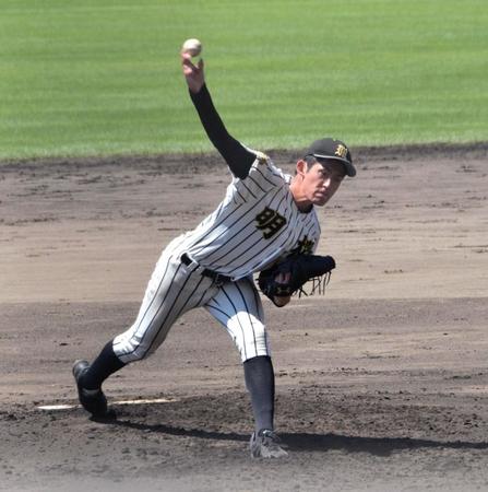 力投するノースアジア大明桜・風間