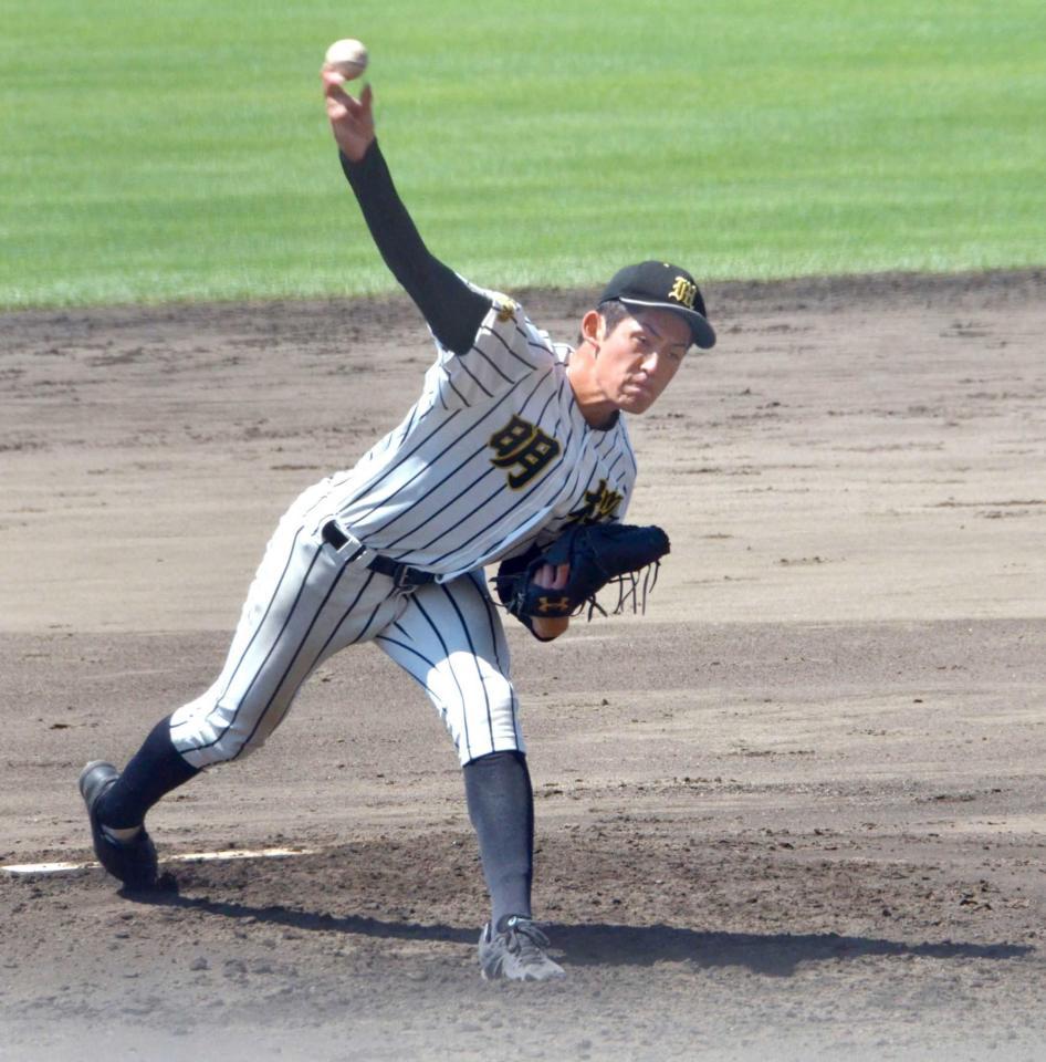 　ノースアジア大明桜・風間