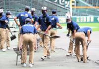 　１１時の試合開始に向け、スタッフ総出で作業を進める阪神園芸（撮影・伊藤笙子）