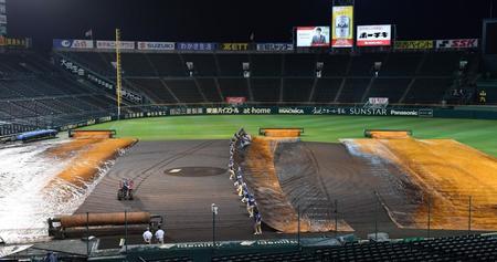 　グラウンドにシートを敷く阪神園芸のスタッフ（撮影・佐々木彰尚）