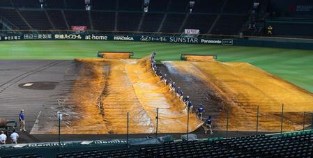 　グラウンドにシートを敷く阪神園芸のスタッフ（撮影・佐々木彰尚）