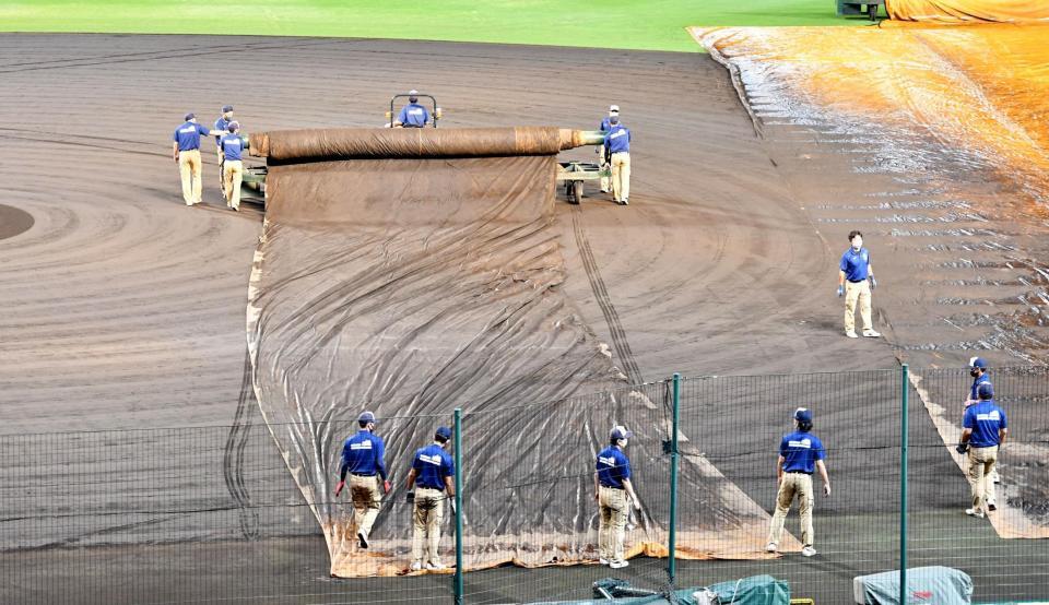 　グラウンドにシートを敷く阪神園芸のスタッフ（撮影・佐々木彰尚）