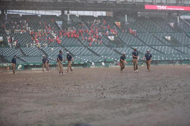 【写真】豪雨に見舞われる甲子園球場　前が全然見えない