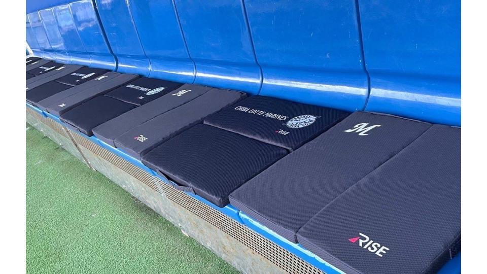 モバイルシートクッションを３１日・西武戦から導入（球団提供）