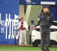 　９回、レフトスタンド下のブルペンから鳥の群れを見るバード（撮影・高石航平）