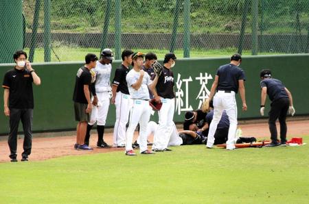 打球が直撃した、加藤コーチに手当を行うチームスタッフと心配そうに見つめる選手たち