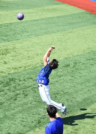 　５日の阪神戦に先発する坂本（撮影・中田匡峻）