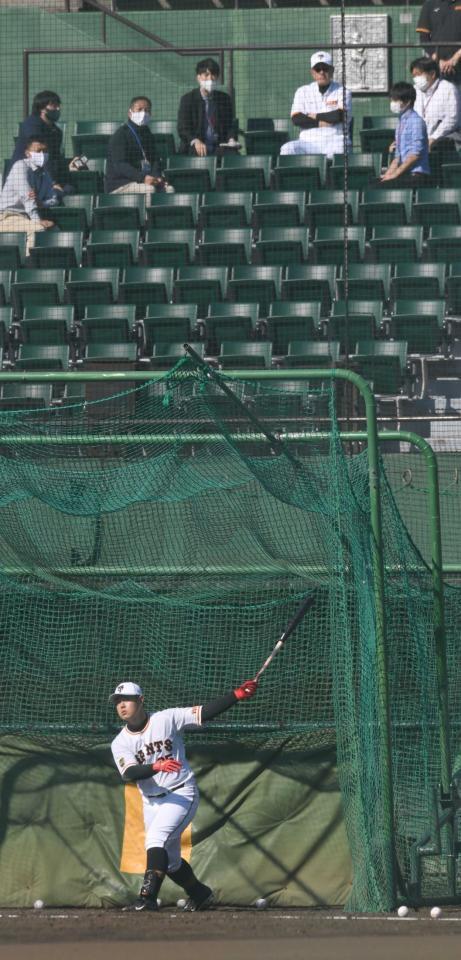 　スタンドから原監督が見守る中、打撃練習する岡本和