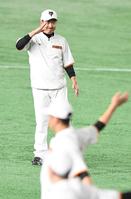 練習を見守る原監督（撮影・金田祐二）