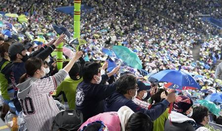 　プロ野球今季最終戦のヤクルト-広島戦で盛り上がるファン＝１日夜、神宮球場