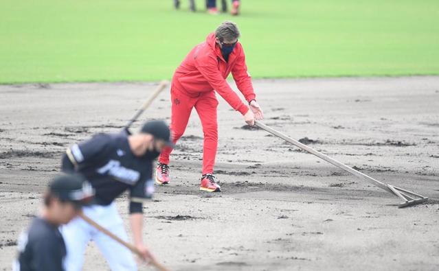 【写真】新庄監督 トンボで丁寧グラウンド整備 朝からの仕事ぶり、報道陣に「監督っぽい?」