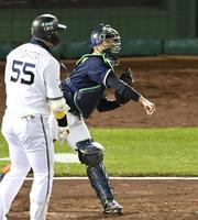 　４回、杉本を二塁で刺す中村（撮影・飯室逸平）