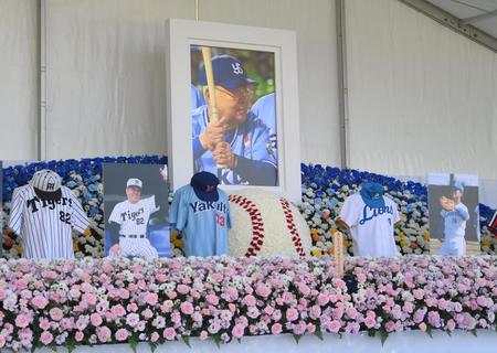 　野村克也さんの祭壇＝神宮球場（撮影・堀内翔）