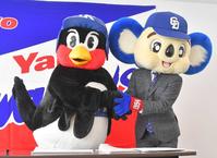 　契約更改後に代理人のドアラ（右）と握手するつば九郎（代表撮影）