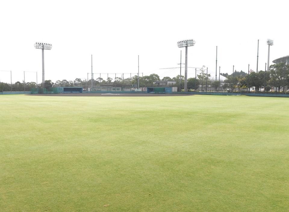 　ソフトバンクのキャンプ地・生目の杜運動公園野球場