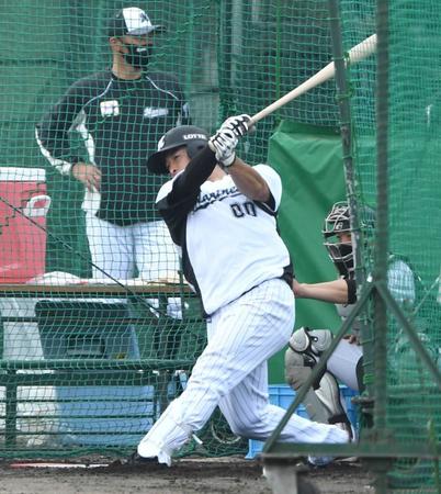 　フリー打撃で快音を響かせる池田