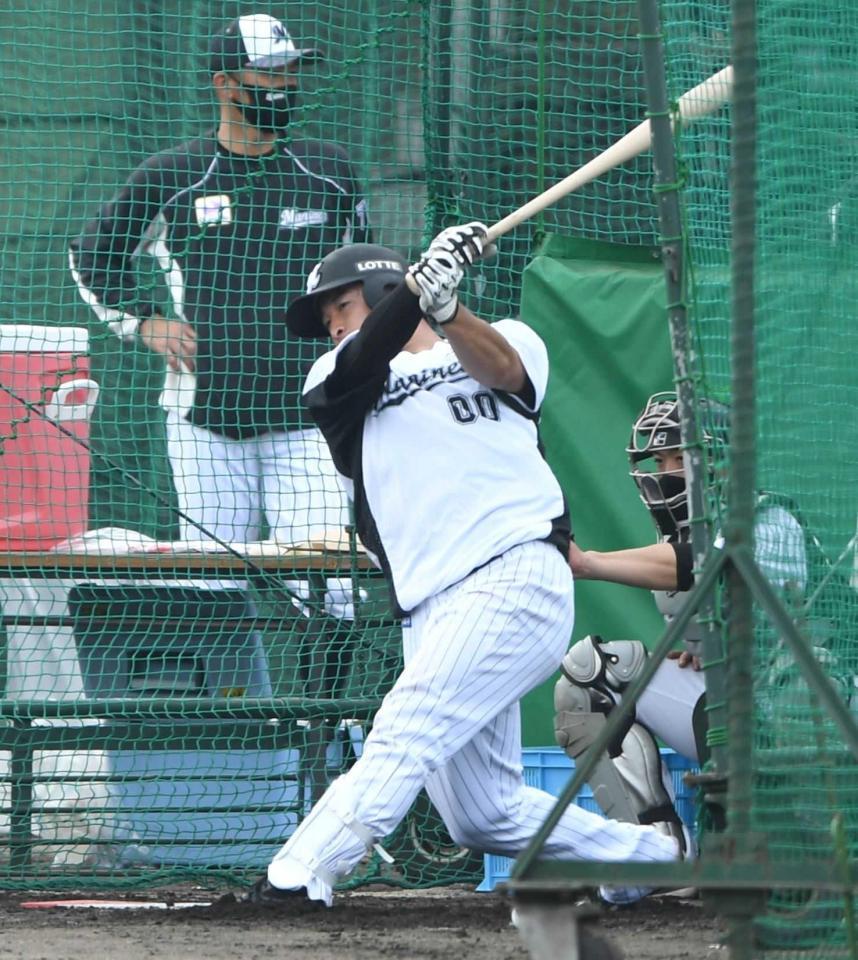 　フリー打撃で快音を響かせる池田