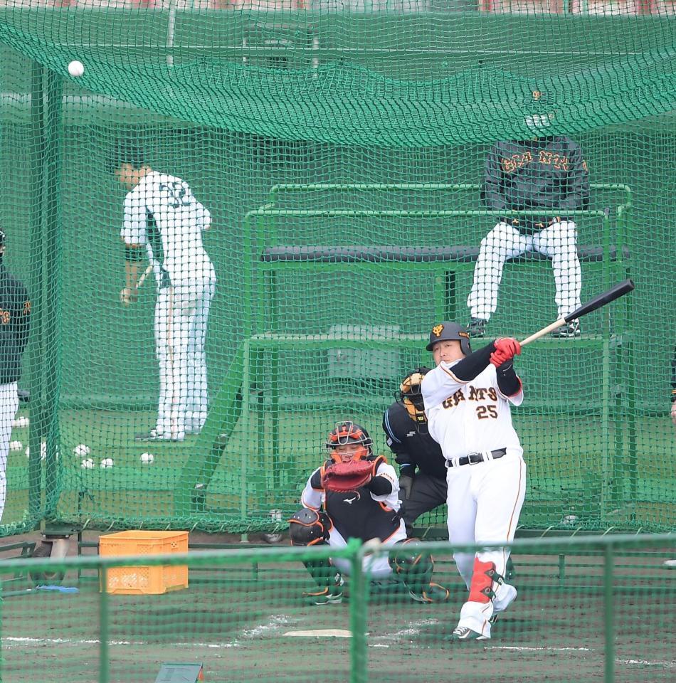 　原監督が見守る中、フリー打撃を行う巨人・岡本（撮影・伊藤笙子）