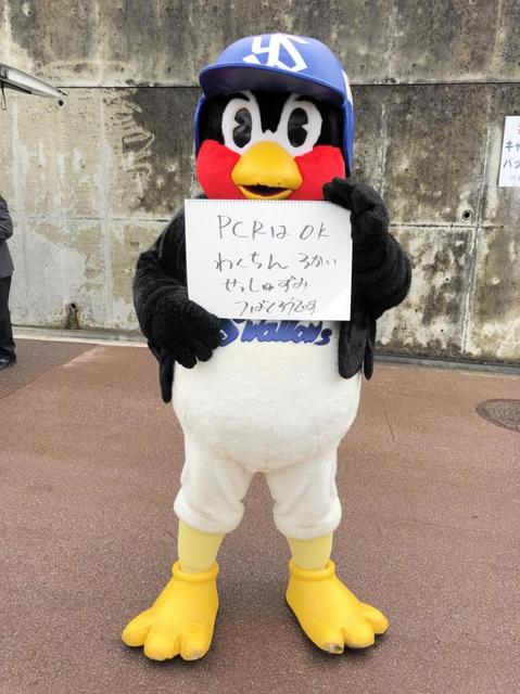 【新品未開封】つば九郎　ほほ等身大　タオルケット　リーゼントたたせてよ 坂東 彦三郎 on X: 
