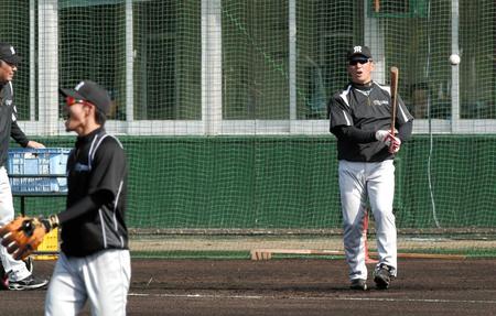 　ノックの雨を降らせる阪神・金本監督＝２０１６年２月