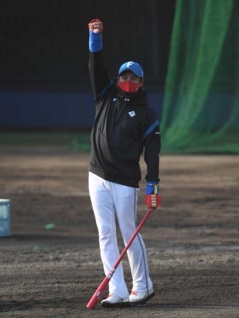 日本ハム・“シンジョーシキ”打線でＯＰ戦初星　１番・清宮？４番・田宮？８番・近藤？