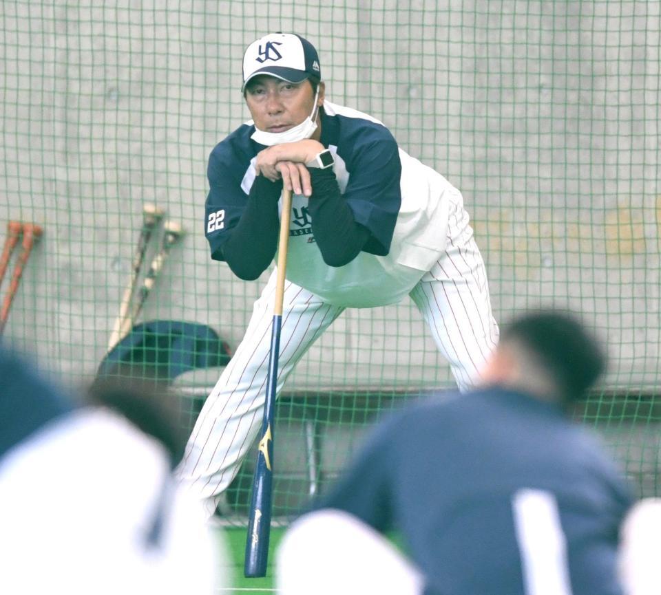 厳しい表情で練習を見つめる高津監督（撮影・棚橋慶太）