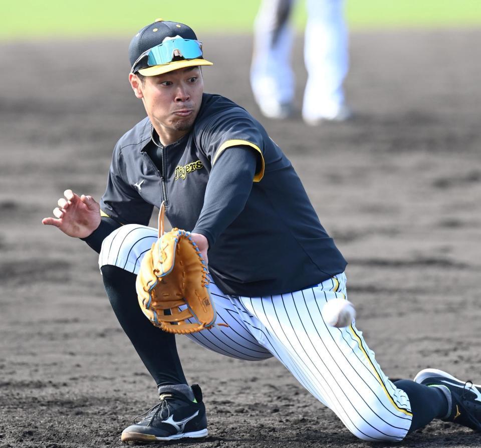 　三塁でノックを受ける佐藤輝（撮影・田中太一）