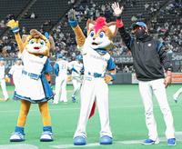 　勝利をあげ、球団マスコットとファンに手を振る新庄ビッグボス（右）＝撮影・中島達哉