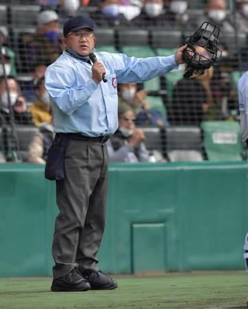 　誤診を認め謝罪、説明する尾崎球審（撮影・神子素慎一）